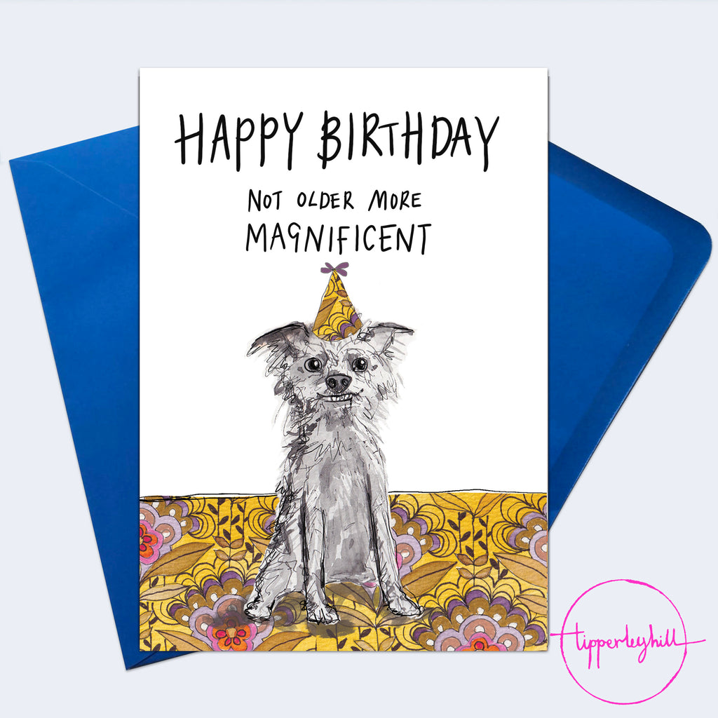 SW13 Sketchy dog card, ‘Happy Birthday Not older more magnificent’